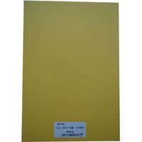 リンテック 色画用紙R 8ツ切 10枚みかん 237 1包（直送品）