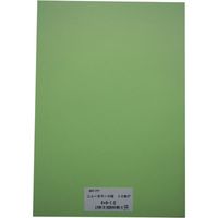 リンテック 色画用紙R 8ツ切 10枚わかくさ 243 1包（直送品）