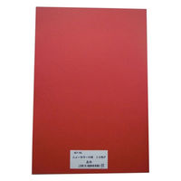 リンテック 色画用紙R 8ツ切 10枚あか 317 1包（直送品）