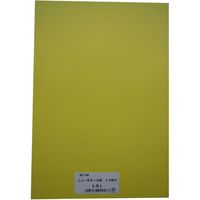 リンテック 色画用紙R 8ツ切 10枚レモン 319 1包（直送品）