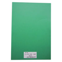 リンテック 色画用紙R 8ツ切 10枚みどり 321 1包（直送品）