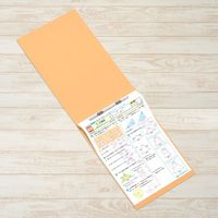 プラス フラットファイル縦罫A3E No.002NT YL 10冊　1パック（直送品）