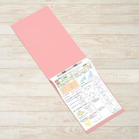 プラス フラットファイル縦罫A3E No.002NT PK 10冊　1パック（直送品）