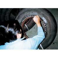 サクラクレパス ソリッドマーカー中字 10本 SC-P#50 白　1箱（直送品）