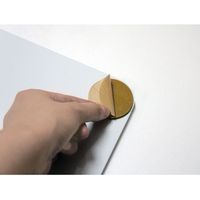 堀内鏡工業 スペースミラーLSM-03　1枚（直送品）