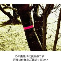 アークランズ GREATTOOL サインテープ 幅50mm×長100m ピンク 478139421 1セット(2巻:1巻×2個)（直送品）