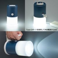 OHM（オーム電機）LEDランタン（乾電池式・USB出力付） LNPーU30A5