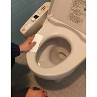トーヨ 流せる除菌シート 大判タイプ 256010 1ケース(48パック)