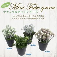 ササガワ フェイクグリーン・人工観葉植物 ブルースキニア ミニサイズ 32-8703 1個（直送品）