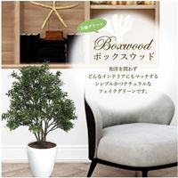 ササガワ フェイクグリーン・人工観葉植物 ボックスウッド Mサイズ 32-8710 1個（直送品）