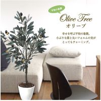 ササガワ フェイクグリーン・人工観葉植物 オリーブ Mサイズ 32-8713 1個（直送品）