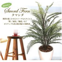 ササガワ フェイクグリーン・人工観葉植物 タマシダ Mサイズ 32-8711 1個（直送品）