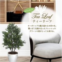 ササガワ フェイクグリーン・人工観葉植物 ティーリーフ Mサイズ 32-8714 1個（直送品）