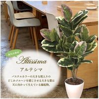 ササガワ フェイクグリーン・人工観葉植物 アルテシマ Mサイズ 32-8715 1個（直送品）