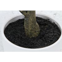 不二貿易 オリーブ 312 52689 1個