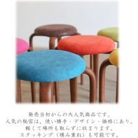 【軒先渡し】AMOCC パピースツール ライトグリーン CSP002(WOB)AX17LG 1脚（直送品）