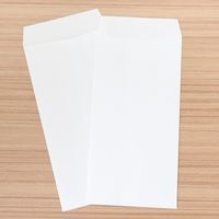大直 奉書紙 A4用長3封筒 5枚入 207010500 1セット