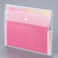 セキセイ アドワン レインボードキュメントホルダー A4ヨコ 12仕切13ポケット AD-3112-00 1冊