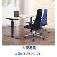 藤沢工業 TOKIO CFシリーズ オフィスチェア 肘付き ブラック CF-7C 1脚（取寄品）