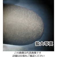 エスコ φ4.4x 77.5mm 工業用綿棒(250本)両面 EA109DY-16 1セット(2500本:250本×10袋)（直送品）