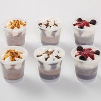 【簡易包装・ギフト】　アイガー　ガレー　チョコレートアイスパルフェ　GL-P　1個（直送品）