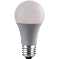 磁気研究所 LED電球 100W相当 全方向 4万時間タイプ 電球色 E26口金 HDLED100W2700K 1セット(2個入)