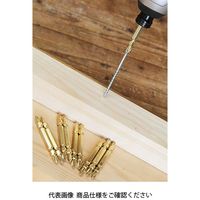 藤原産業 SK11 GOLDスリムビット10本組 SGS10ー65 1個（直送品）