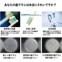 Tarutaru-ga 歯ブラシ除菌器ファン付き壁掛け型 ts-005 1台（直送品）