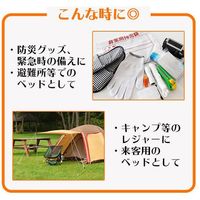 コモライフ かんたんエアーマット 390116 1個（直送品）