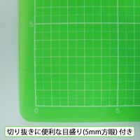 エヌティー NT カッティングマット CM-30i-G 1枚