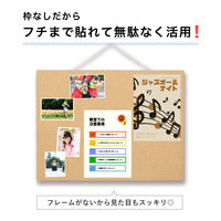 アスカ 枠無しマグピンコルクボード L CB344 1枚