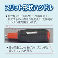 エスコ #2x100mm [+]ドライバー(貫通柄) EA557AV-2 1セット(10本)（直送品）