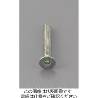 エスコ M3 x 6mm 六角穴付皿頭ボルト 三価クロメート/15本 EA949MC-306 1セット(225本:15本×15パック)（直送品）