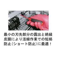 エスコ #1x100mm [+]ドライバー(パワーG 電工・絶縁) EA557AR-1 1セット(10本)（直送品）