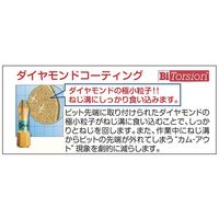 エスコ #2x25mm [+]ドライバービット(ダイヤモンド付) EA611A-52 1セット(15本)（直送品）