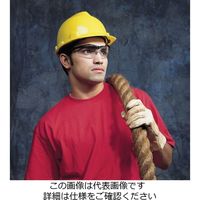 エスコ 保護めがね(クリアー・ブラック) EA800CH-1 1セット(10個)（直送品）