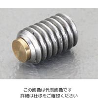 エスコ M6x10mm 六角穴付止ねじ(真鍮パッド/ステンレス) EA949DS-6 1セット(10個)（直送品）