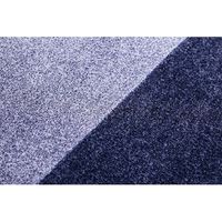 アイリスオーヤマ ラ・クッションラグ　ACRB-1318　ブルー　1個（直送品）