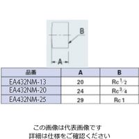 エスコ Rc 3/4” 砲金キャップ EA432NM-20 1セット(10個)（直送品）