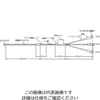 オムロン 温度センサ ローコスト白金測温抵抗体 E52ーP10AEY2M 1個（直送品）