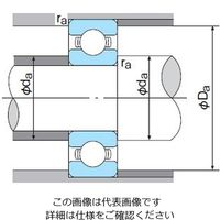 不二越 ベアリング 深溝玉軸受 両非接触シール形 6024ー2NK 1個（直送品）