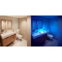 フィリップス UV-Cデスクライト　ブラウン UVCdisinfectiondesklamp24WBJP 1個