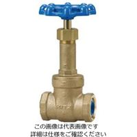 エスコ Rc 2” ゲートバルブ(給水用/青銅) EA470DG-20 1個（直送品）