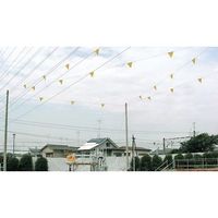 エスコ φ4mmx30m グラスファイバーロープ EA628CA-2 1巻（直送品）