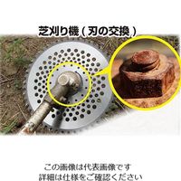 エスコ 250g 錆取り(泡) EA920AJ-52 1セット(4本)（直送品）