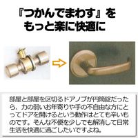 和気産業 室内用レバー錠 通路用セット 通路の錠 樹脂製 ゴールド バックセット60cm SET-003G 1セット（直送品）