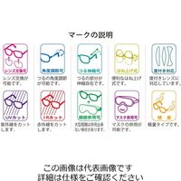 理研化学 RS-160JISRPスペアレンズ 透明 RS-160JISRP 1セット(10個)（直送品）