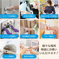 コルハート アルコールサニー80 ミニスプレ- 50ml 980997 1箱(5本入)