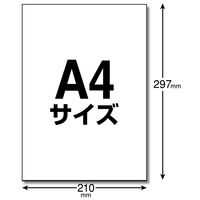 エレコム ラベルシール 宛名シール きれいにはがせる ノーカット ラベル枚数：20枚 EDT-TKF 1袋（20シート）（直送品）