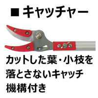 大進 軽量伸縮式高枝切鋏標準刃 DS-C1629 1本